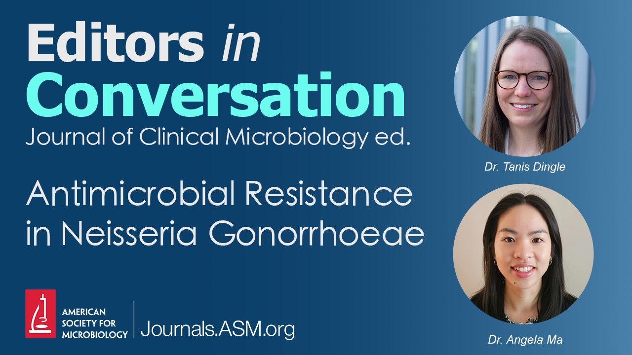 Antimicrobial Resistance in Neisseria Gonorrhoeae - Editors in Conversation