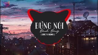 Đừng Nói Remix - Đình Dũng [ Bản Mix HAY NHẤT GÂY NGHIỆN ] DJ Eric T-J