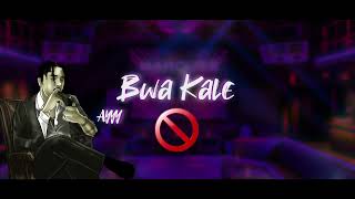 Steves J. Bryan - Bwa Kale (Official Lyrics Video)