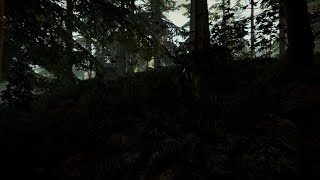 The Forest / Dont save the Forest [cut down 1000 trees😎] Trophy 🏆