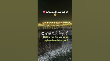 إذا كنت تحب الله ضع متابعة ❤️🫡 #القرآن_الكريم #آيات_القرآن #اكسبلور #لايك #elmulquranعلم #تلاوة
