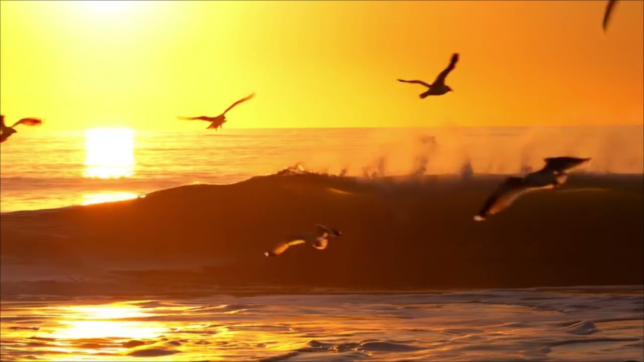 🌿Beautiful Relaxing Music🌿Healing Music For Health And Calming The Nervous System, Deep Relaxation