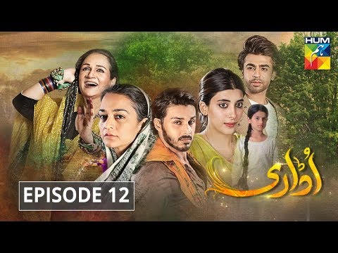 Udaari — Episode 12