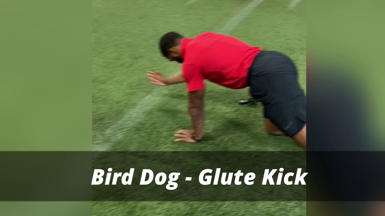Bird dog Glute kicks U48 Online Training YouTube