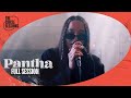 Pantha  full live concert  the circle sessions