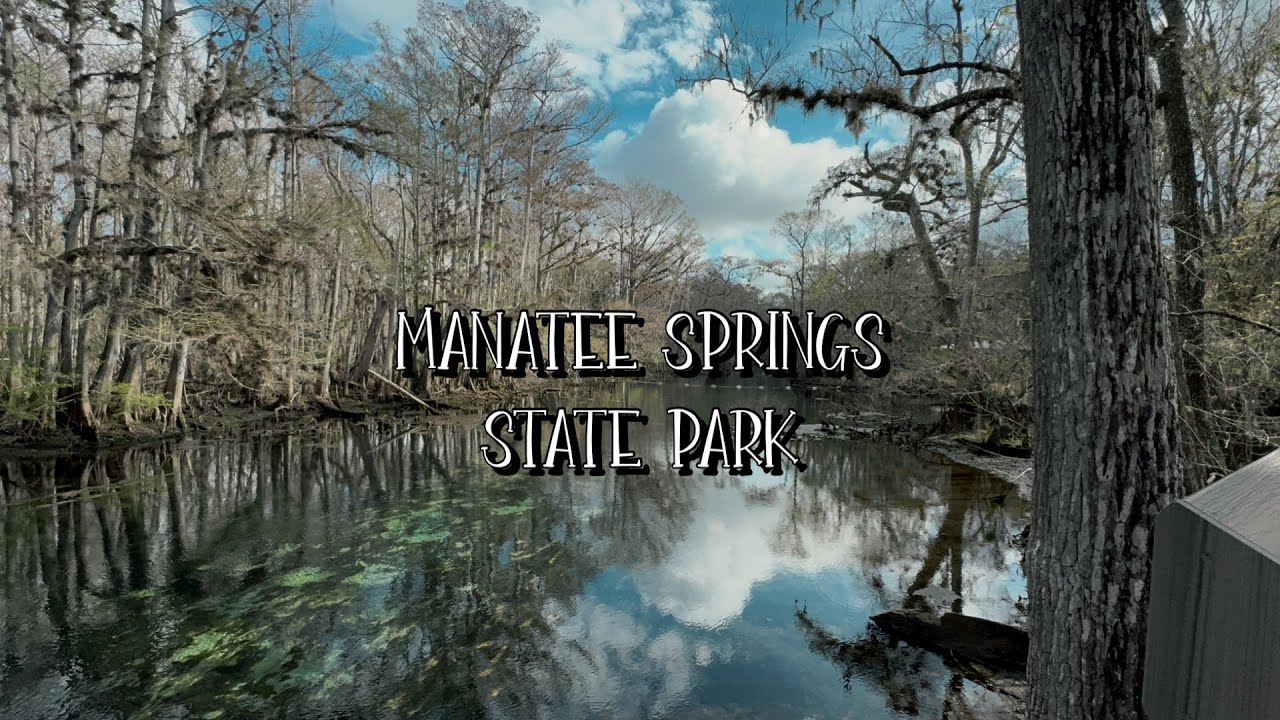 Manatee Springs State Park -Florida’s Sparkling Blue Waters, Tall Cypress Trees, & Abundant Wildlife