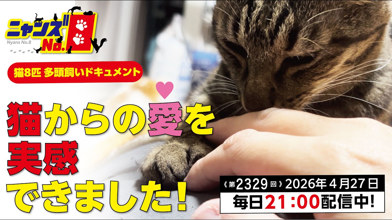 まあたねこを Amazon.co.jp: ねこを描く : リカ&ピズ, 金智恵: 本