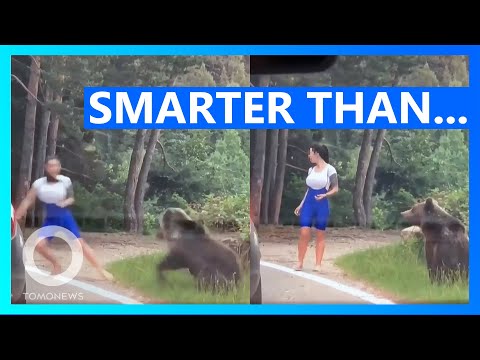 Bear Lunges at Stupid Selfie Woman