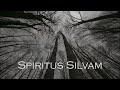 Spiritus Silvam