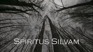 Spiritus Silvam
