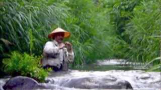 柏木流テンカラ3（KASHIWAGI RYU TENKARA） - YouTube