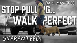 How to STOP your DOG PULLING onLEASH... GUARANTEED! / / Dog Trainers Secret Revealed