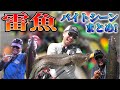 雷魚のバイトシーン、まとめました！ の動画、YouTube動画。