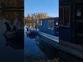 Houseboat Life Calm and Relaxing. #dog #lifeisbutadream