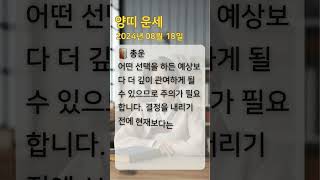 #양띠운세 #오늘의운세 #내일의운세 #띠별운세 #로또번호 #로또추천 #양띠