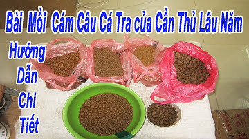 Hướng Dẫn Làm Mồi Cám Câu Cá Tra  Được Chia Sẻ Bởi Một Cần Thủ Chuyên Nghiệp