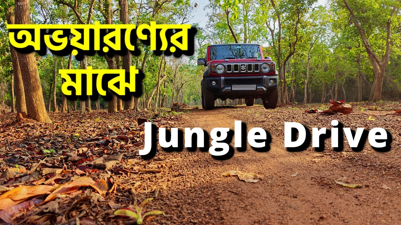 Into the Wild ! Thrilling Forest Drive | Kuldiha Wildlife Sanctuary