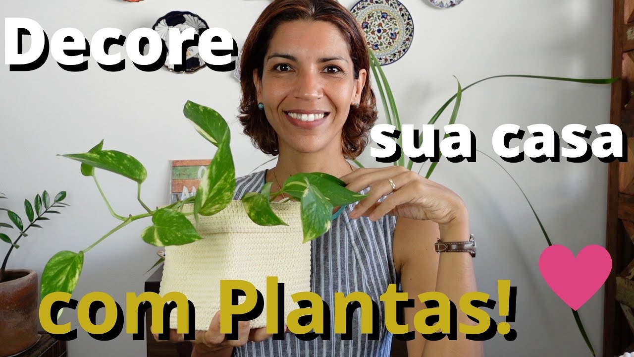 Decore a sua casa com plantas e com amor! 5 dicas