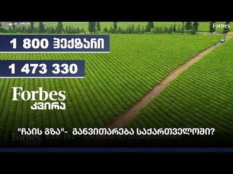 \"ჩაის გზა\"-  განვითარება საქართველოში?