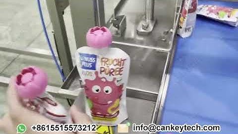 How Does A Pouch Filling Machine Work?