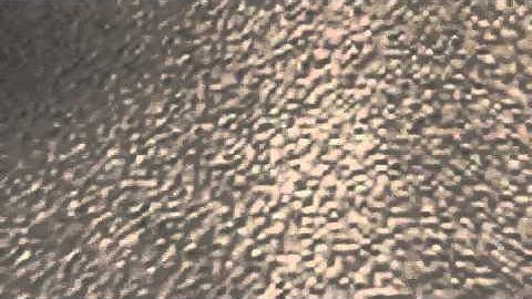 KrYpTiC Gaming Intro !!!