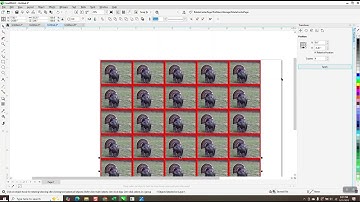 Corel Draw Tips & Tricks Transform DOCKER Faster