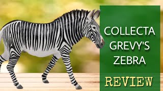 The CollectA Grevy's zebra 😍 Fast & Closer review / Animal figurines & Toys