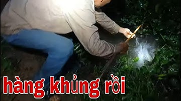 Trời Mưa Cắm Câu Cá Lóc Trê Bằng 2 Loại Mồi Này Cá Dính Liền Cần Thấy Ham # SĂN BẮT ĐỒNG THÁP #