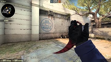 CS:GO Item Showcase: Karambit Slaughter STATTRAK - Minimal Wear