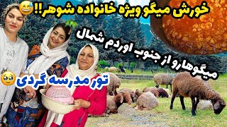 ولاگ آشپزی در طبیعت زیبا و پخت خورشت میگو خوشمزه ، روزمرگی های من