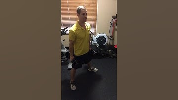 Dumbbell Duck Squat Hammer Curl Demo