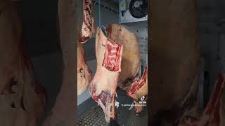 The best HUNG Butchers in Ireland!