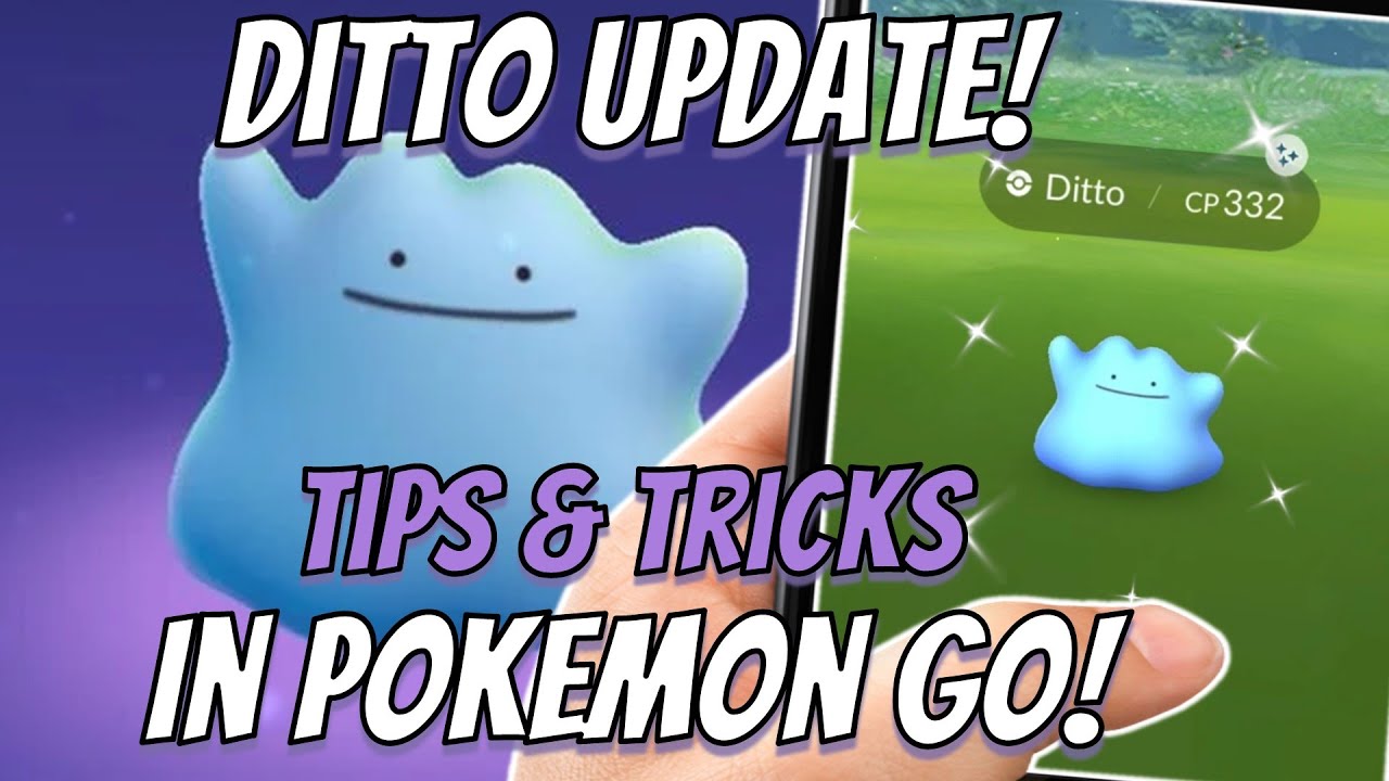 Current Ditto Disguises - Leek Duck