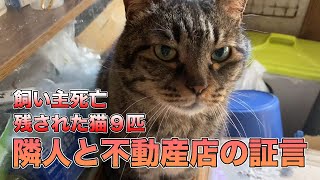 【証言】残された猫匹…隣人に聞く飼い主の横顔【なぜこうなった】