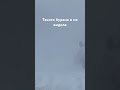 В городе видимость «0». Страшно подумать, что в степи