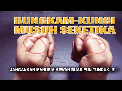 Video: Pisau yang manakah boleh saya bawa? Pisau apakah yang dianggap sebagai senjata jarak dekat? Pisau lipat