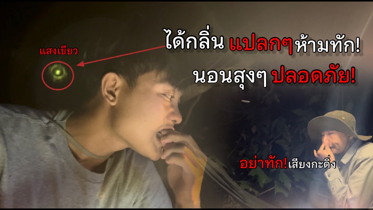 นอนป่า พาพี่มาพิสูจน์เสียงลึกลับ!ตกดึกได้ยินเสียงกระดิ่ง! ห้ามลงจากต้นไม้เด็ดขาด!