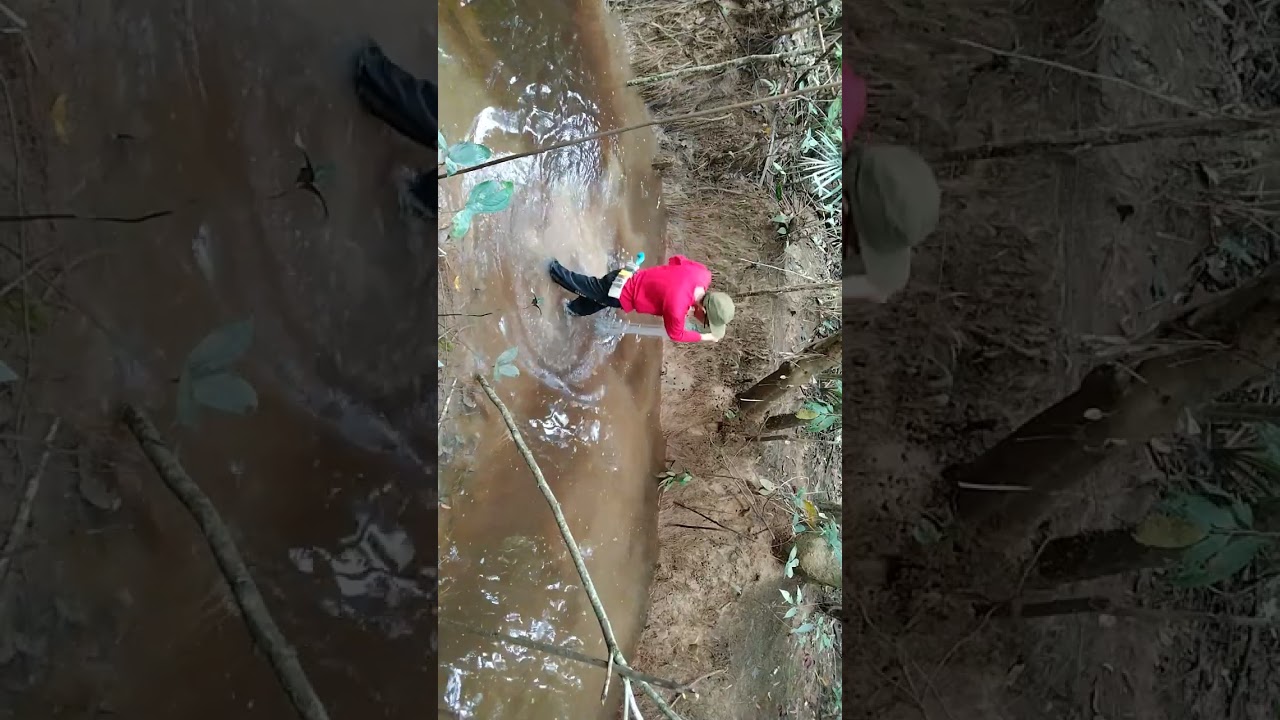 Aktiviti ari pag tu mukat lansik@ensulai&baung&bangah 