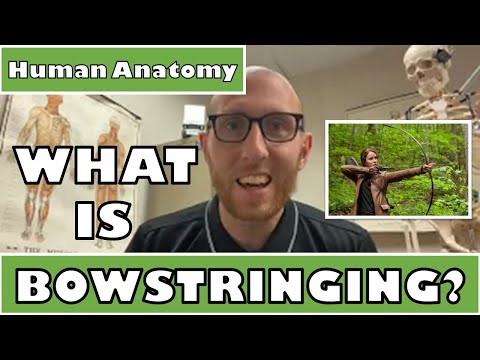 Video: Wat betekent bowstringing?