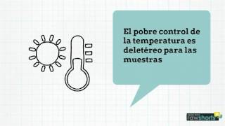 Temperatura