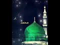 Muhammad SAW,محمدرسول اللہ Qamaroon Naat❤️❤️#shorts #shortsfeed #nature #viral      #trendingshorts