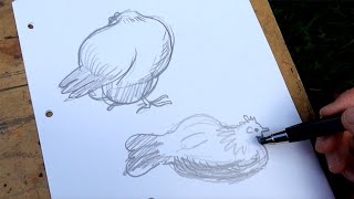 Sketching chickens outside - just pure practice ✏️