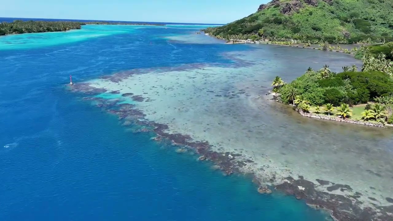 Huahine's Quiet Mooring Field at Motu Murimahora