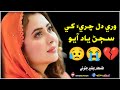 Wari Dil Chari Khy Sajan Yaad Aahyo || Singer Bashir Jatoi || Sindhi new Sad song 2024