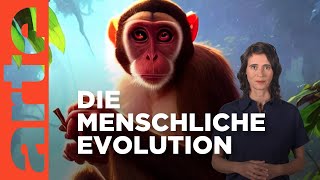Das Ende der Menschheit in 39 Sekunden