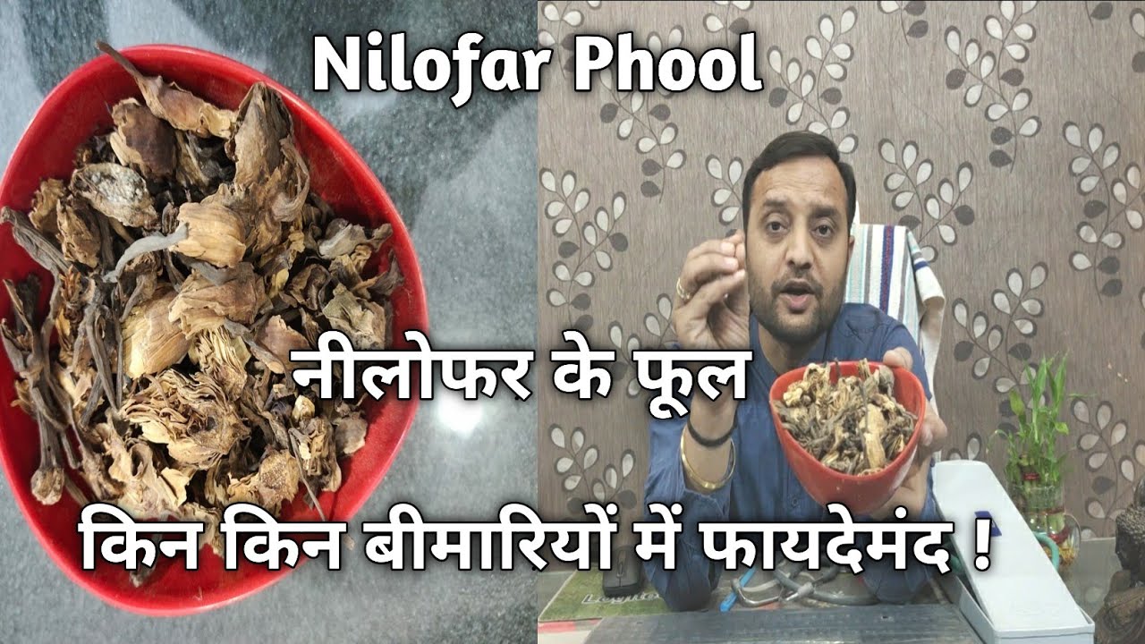 Nilofar Phool | नीलोफर के फूल किन किन बीमारियों में फायदेमंद !