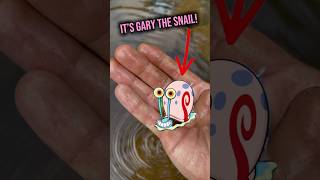 I FOUND Gary the snail in real life!#nature #snail #shorts