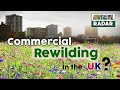 Rewilding Britain  👉 Commercial Rewilding in the UK?