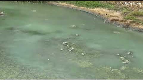 Mexican fish produce 