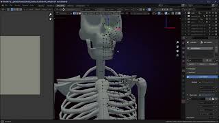 daggerfall skeleton modeling